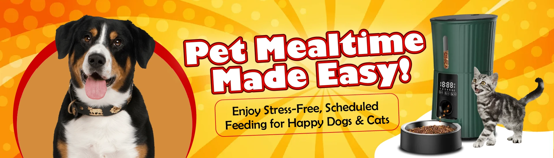 a2z pets