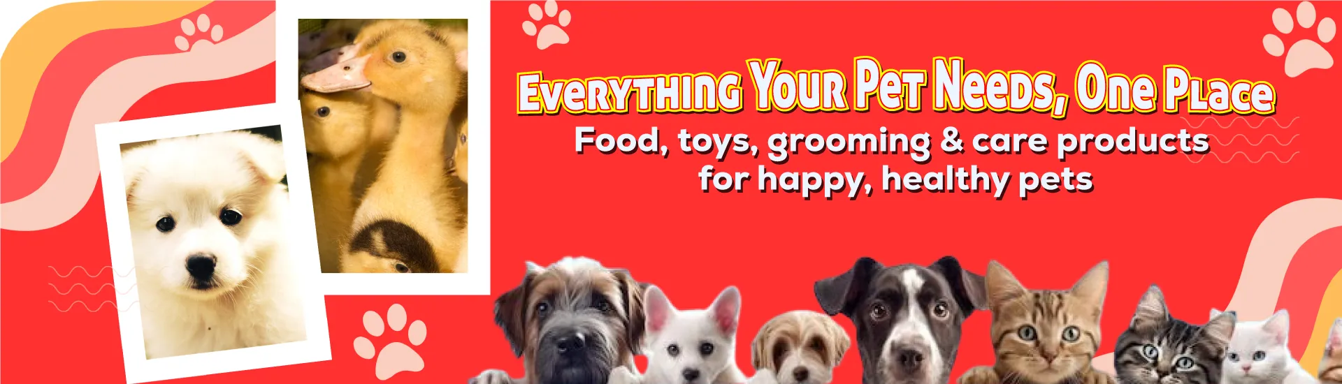 Your pets need at a2zpets