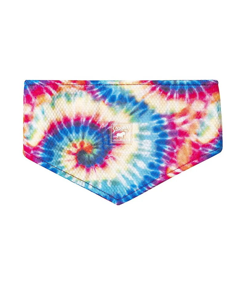 CANADA POOCH Tie Dye Cooling Dog Bandana Small