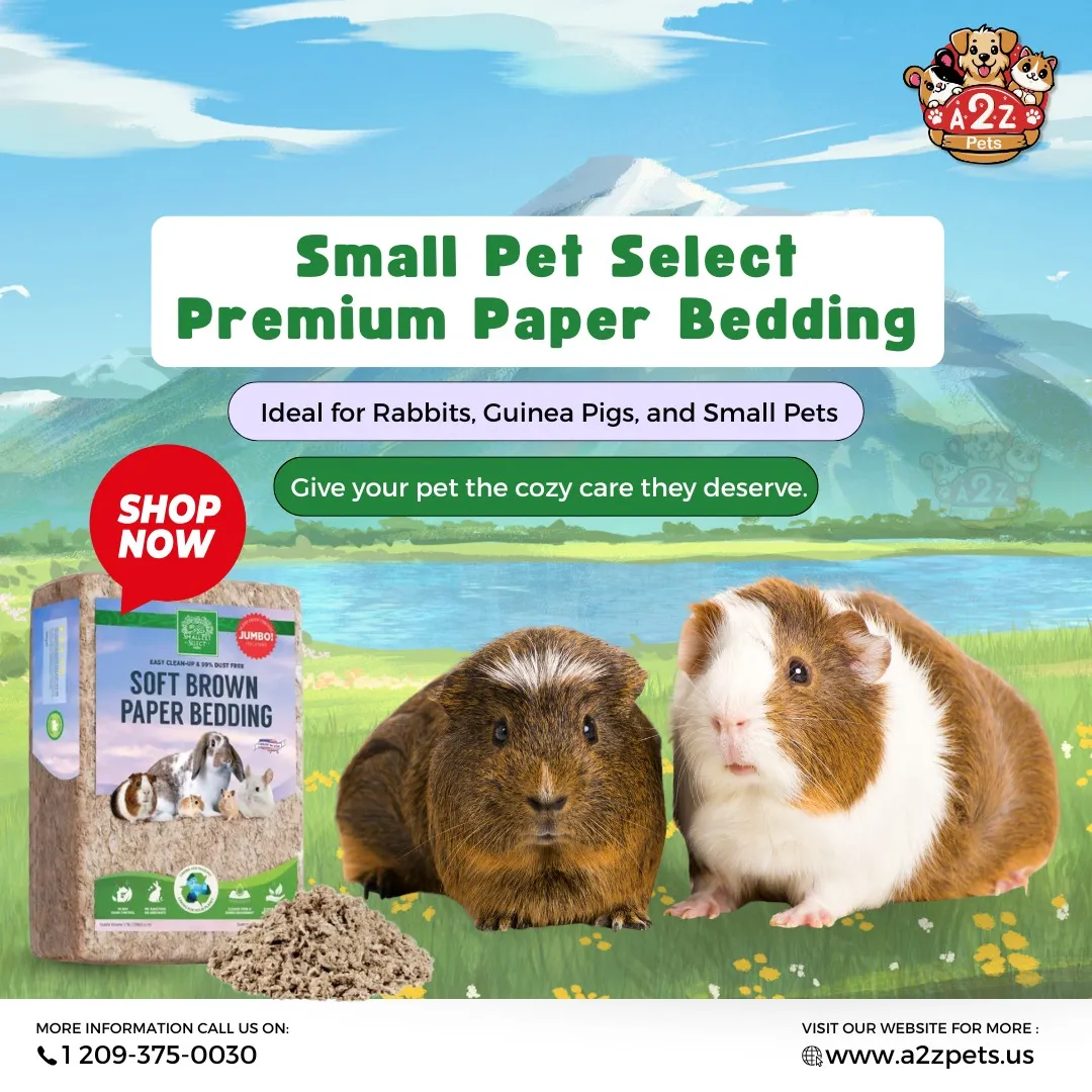 A2z Pets