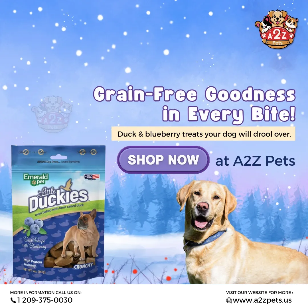 A2z Pets
